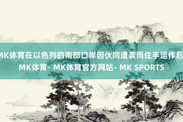 MK体育在以色列的南部口岸因伙同遭袭而住手运作后-MK体育- MK体育官方网站- MK SPORTS