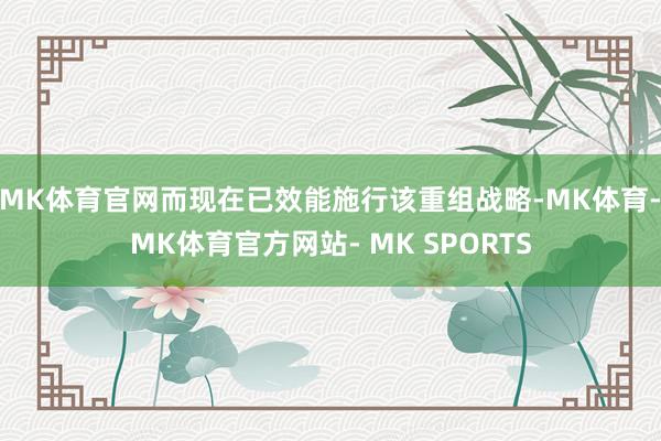 MK体育官网而现在已效能施行该重组战略-MK体育- MK体育官方网站- MK SPORTS