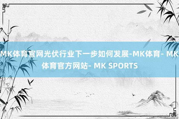 MK体育官网光伏行业下一步如何发展-MK体育- MK体育官方网站- MK SPORTS